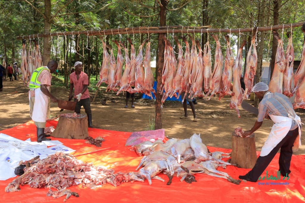 Dhuhiya 2025 — Qurbani team in Kyenjojo, Uganda